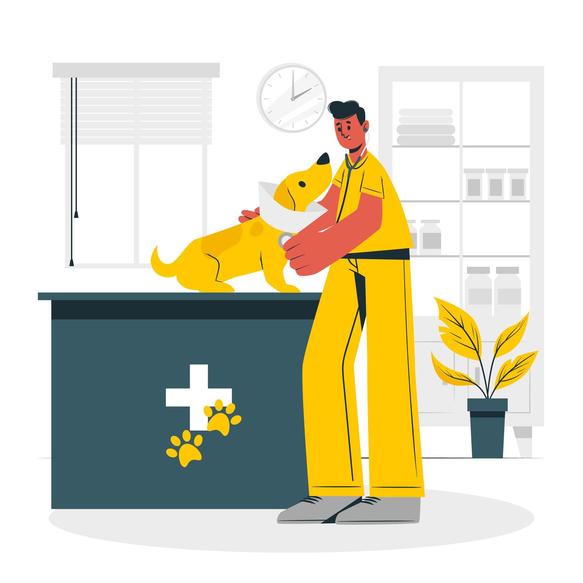 illustration tierarzt behandelt hund in seiner praxis