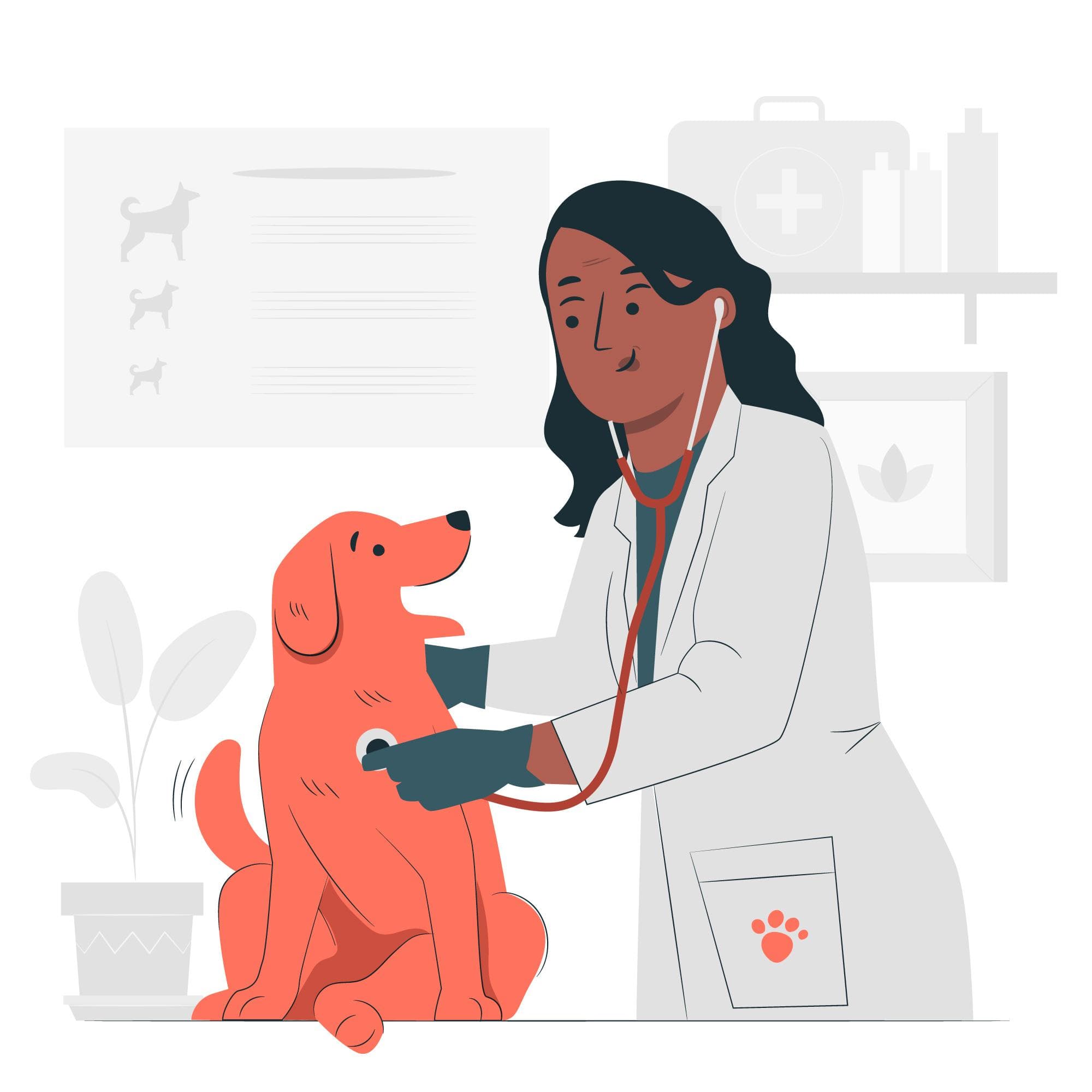 Illustration tierärztin behandelt einen glücklichen hund