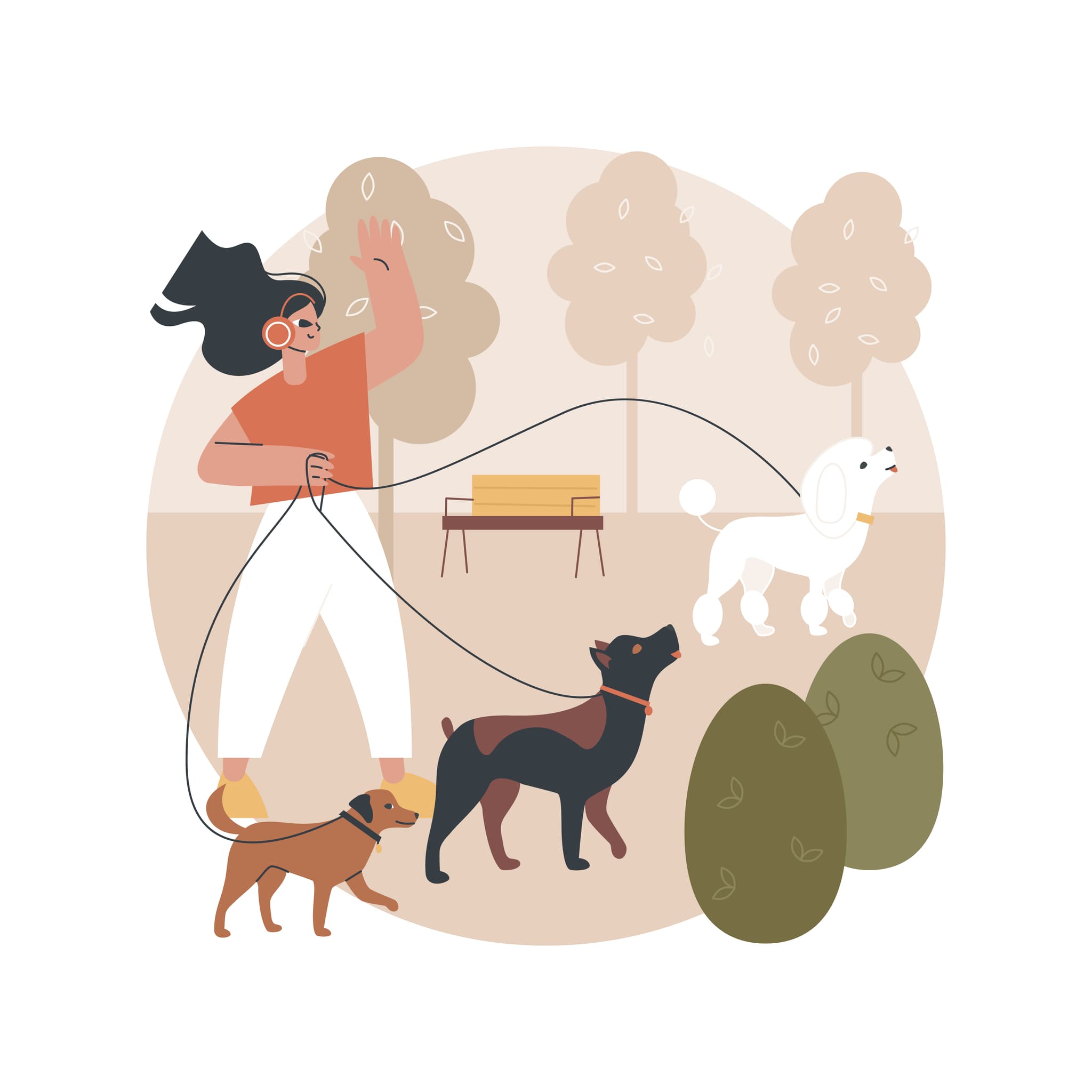 illustration frau führt drei hunde gassi im park